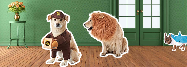 10 Most Adorable Pet Costumes